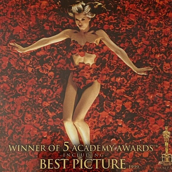 American Beauty Blu Ray Disc Sapphire Kevin Spacey Annette Bening New Sealed R - Picture 2 of 8